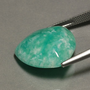 14.87캐럿 천연 그린 아마조나이트, 트릴리언, 19.7×19.3 mm, 불투명체