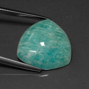15.96캐럿 천연 그린 아마조나이트, 트릴리언, 19.8×19.3 mm, 불투명체
