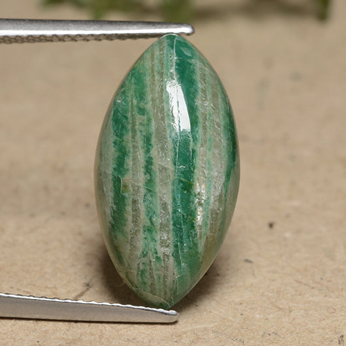 8.09캐럿 천연 쿨 그린 아마조나이트, 보석, 불투명체