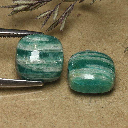 9.66캐럿 천연 미디엄 그린 아마조나이트 보석, 쿠션 컷, 불투명체