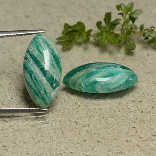 13.09캐럿 천연 파인 그린 아마조나이트 보석, 마퀴즈, 불투명체