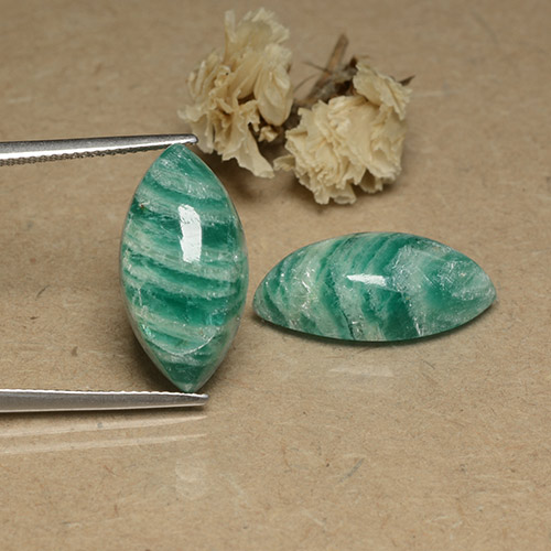 18.28캐럿 천연 파인 그린 아마조나이트 보석, 보석, 불투명체