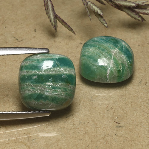 8.15캐럿 천연 쿨 그린 아마조나이트 보석, 쿠션 컷, 불투명체