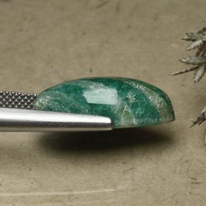 8.86캐럿 천연 쿨 그린 아마조나이트, 보석, 불투명체