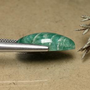 8.31캐럿 천연 블루그린 아마조나이트, 마퀴즈, 불투명체