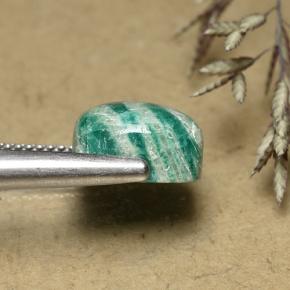 5.96캐럿 천연 쿨 그린 아마조나이트, 쿠션 컷, 불투명체