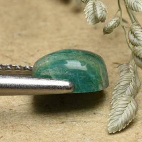 1.17캐럿 천연 청록색 아마조나이트, 쿠션 컷, 불투명체