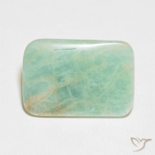 11.51ct 자연스러운 라이트 모스 그린 아마조나이트, 방석, 불투명체
