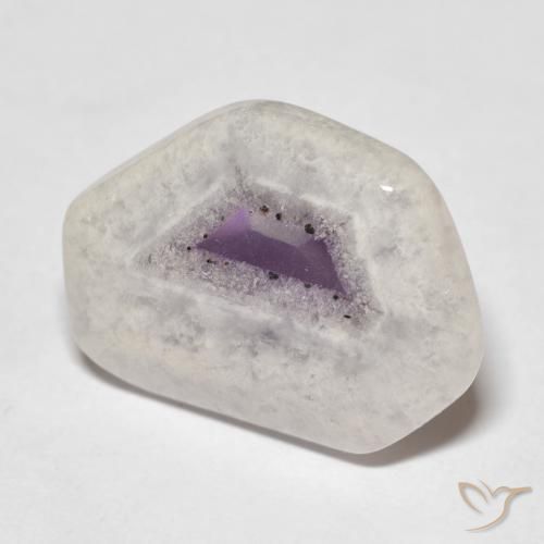 9.16ct 자연스러운 다색 자수정 지오드 슬라이스, 팬시한, 투명한