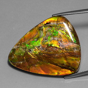 38.54캐럿 천연 멀티컬러 암몰라이트, 트릴리언, 37.7×31.8 mm, 불투명체