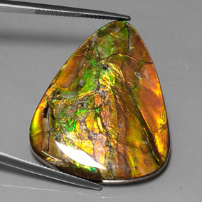 38.54캐럿 천연 멀티컬러 암몰라이트, 트릴리언, 37.7×31.8 mm, 불투명체