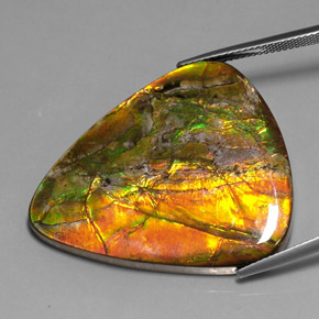 38.54캐럿 천연 멀티컬러 암몰라이트, 트릴리언, 37.7×31.8 mm, 불투명체