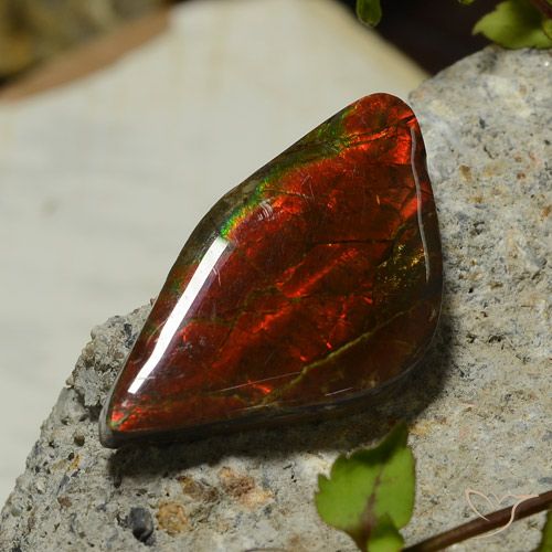 17.03ct 자연스러운 다색 암몰라이트, 팬시한, 불투명체