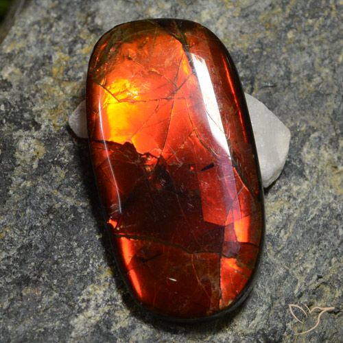 11.42캐럿 천연 멀티컬러 암몰라이트, 멋진 모양, 26×13.8 mm, 불투명체