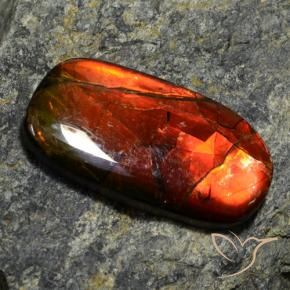 11.42캐럿 천연 멀티컬러 암몰라이트, 멋진 모양, 26×13.8 mm, 불투명체