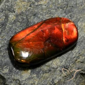 11.42캐럿 천연 멀티컬러 암몰라이트, 멋진 모양, 26×13.8 mm, 불투명체