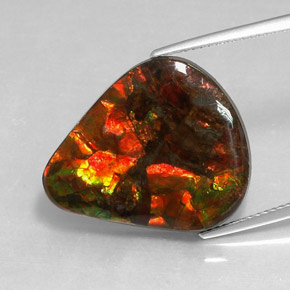 14.24캐럿 천연 멀티컬러 암몰라이트, 멋진 모양, 22.5×19.4 mm, 불투명체