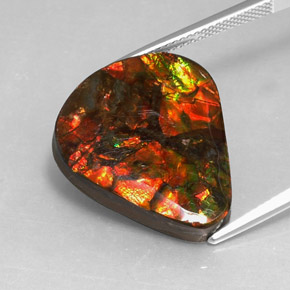 14.24캐럿 천연 멀티컬러 암몰라이트, 멋진 모양, 22.5×19.4 mm, 불투명체
