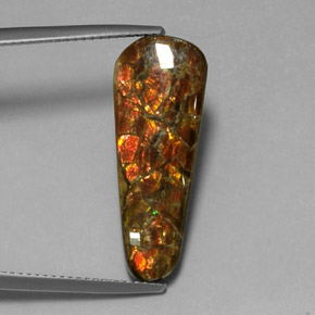 7.59캐럿 천연 다색 암몰라이트, 멋진 모양, 불투명체