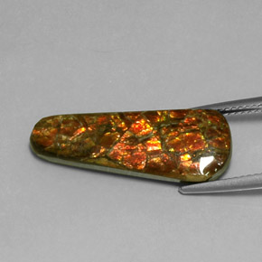 7.59캐럿 천연 다색 암몰라이트, 멋진 모양, 불투명체