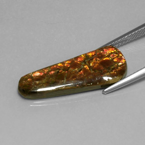 7.59캐럿 천연 다색 암몰라이트, 멋진 모양, 불투명체