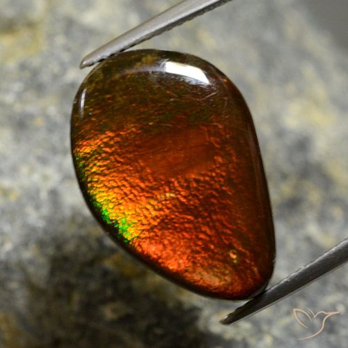 10.57ct 자연스러운 다색 암몰라이트, 팬시한, 불투명체