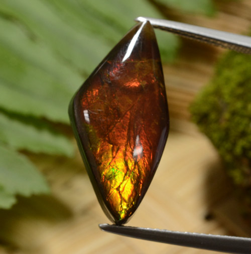 8.14캐럿 천연 멀티컬러 암몰라이트, 멋진 모양, 23.1×11.1 mm, 불투명체