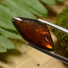 8.14캐럿 천연 멀티컬러 암몰라이트, 멋진 모양, 23.1×11.1 mm, 불투명체