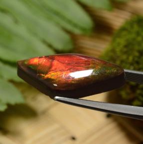 8.14캐럿 천연 멀티컬러 암몰라이트, 멋진 모양, 23.1×11.1 mm, 불투명체