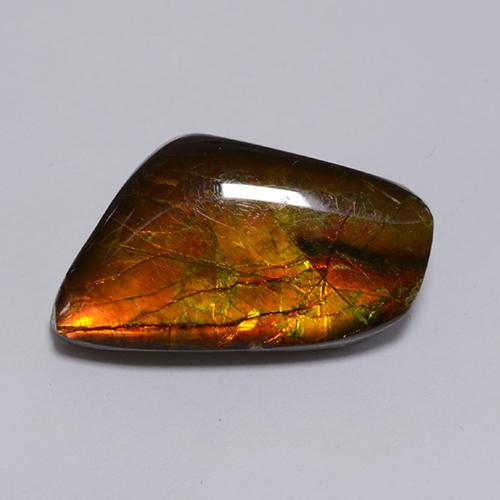 8.62캐럿 천연 멀티컬러 암몰라이트, 멋진 모양, 19×11.1 mm, 불투명체