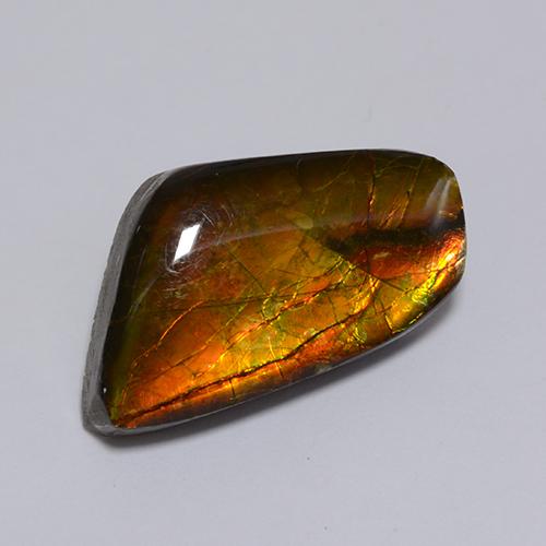 8.62캐럿 천연 멀티컬러 암몰라이트, 멋진 모양, 19×11.1 mm, 불투명체
