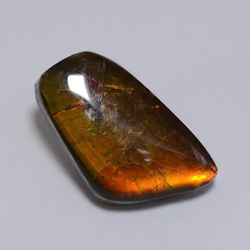 8.62캐럿 천연 멀티컬러 암몰라이트, 멋진 모양, 19×11.1 mm, 불투명체