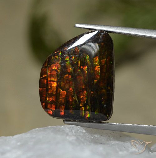 7.67ct 자연스러운 다색 암몰라이트, 팬시한, 불투명체