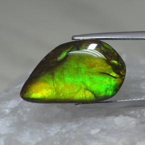 9.88캐럿 천연 멀티컬러 암몰라이트, 멋진 모양, 22×12.8 mm, 불투명체