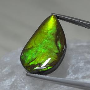 9.88캐럿 천연 멀티컬러 암몰라이트, 멋진 모양, 22×12.8 mm, 불투명체