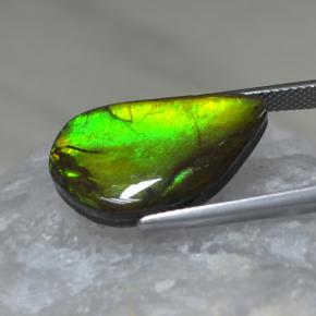 9.88캐럿 천연 멀티컬러 암몰라이트, 멋진 모양, 22×12.8 mm, 불투명체