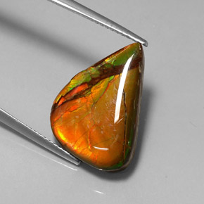 7.22캐럿 천연 멀티컬러 암몰라이트, 멋진 모양, 19.2×13 mm, 불투명체