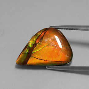 7.22캐럿 천연 멀티컬러 암몰라이트, 멋진 모양, 19.2×13 mm, 불투명체