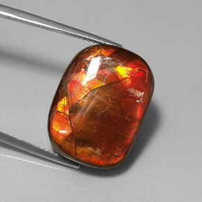 14.17캐럿 천연 멀티컬러 암몰라이트, 멋진 모양, 20.1×15 mm, 불투명체