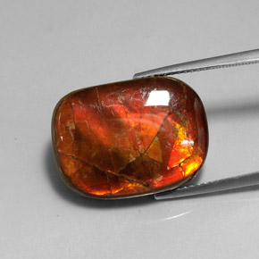 14.17캐럿 천연 멀티컬러 암몰라이트, 멋진 모양, 20.1×15 mm, 불투명체