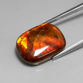 14.17캐럿 천연 멀티컬러 암몰라이트, 멋진 모양, 20.1×15 mm, 불투명체
