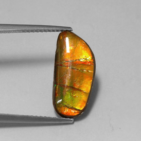 3.60캐럿 천연 멀티컬러 암몰라이트, 멋진 모양, 17.3×8.1 mm, 불투명체
