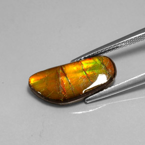 3.60캐럿 천연 멀티컬러 암몰라이트, 멋진 모양, 17.3×8.1 mm, 불투명체
