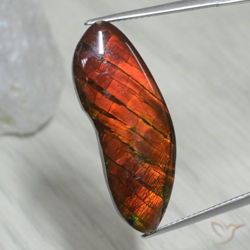 15.54ct 자연스러운 다색 암몰라이트, 팬시한, 불투명체