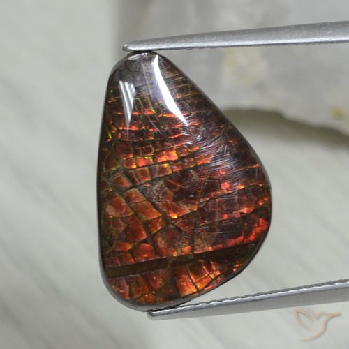 8.09ct 자연스러운 다색 암몰라이트, 팬시한, 불투명체