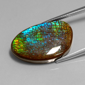 16.45캐럿 천연 다색 암몰라이트, 멋진 모양, 불투명체