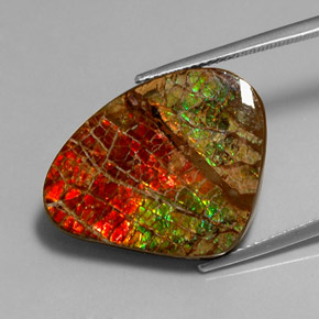 17.71캐럿 천연 멀티컬러 암몰라이트, 멋진 모양, 26.1×21.2 mm, 불투명체
