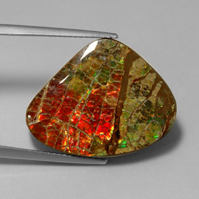 17.71캐럿 천연 멀티컬러 암몰라이트, 멋진 모양, 26.1×21.2 mm, 불투명체