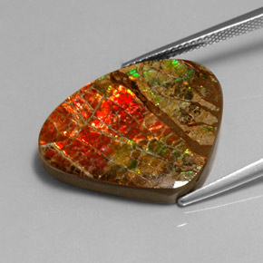 17.71캐럿 천연 멀티컬러 암몰라이트, 멋진 모양, 26.1×21.2 mm, 불투명체