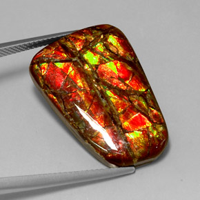 18.54캐럿 천연 멀티컬러 암몰라이트, 멋진 모양, 28.8×20.1 mm, 불투명체